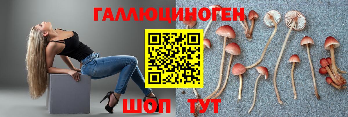 Псилоцибиновые грибы ЛСД Кимовск